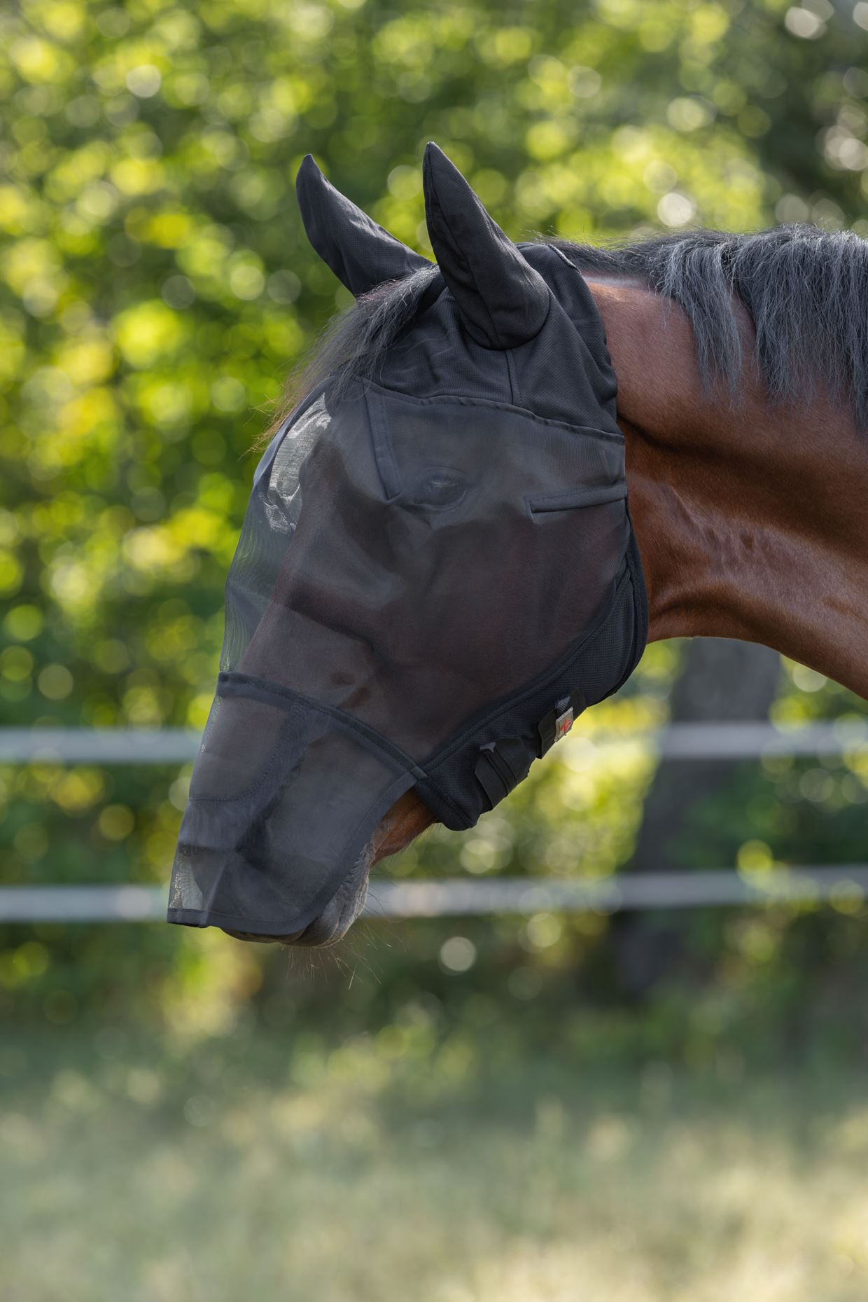 לחיצה להגדלת תמונה 