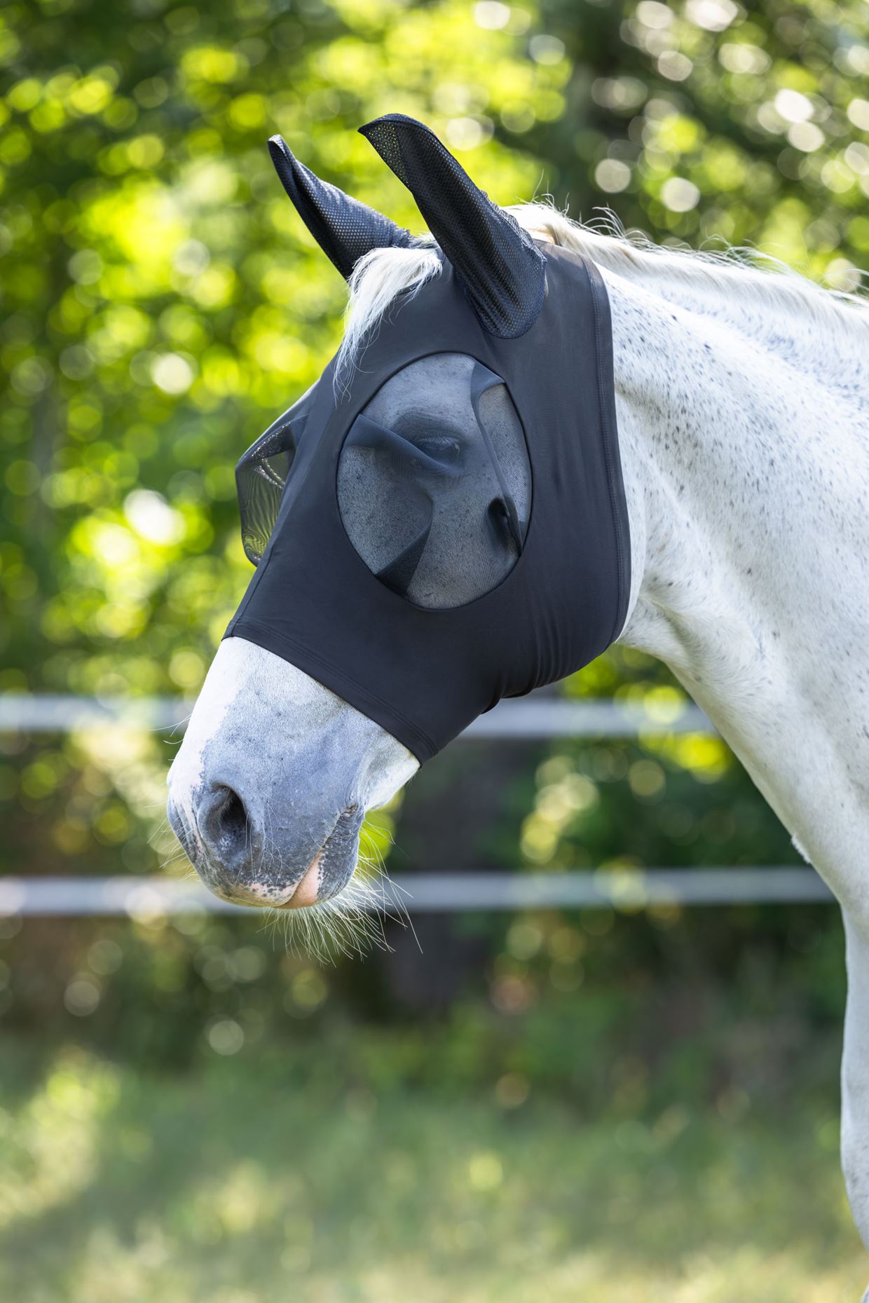 לחיצה להגדלת תמונה רשת לפנים לייקרה