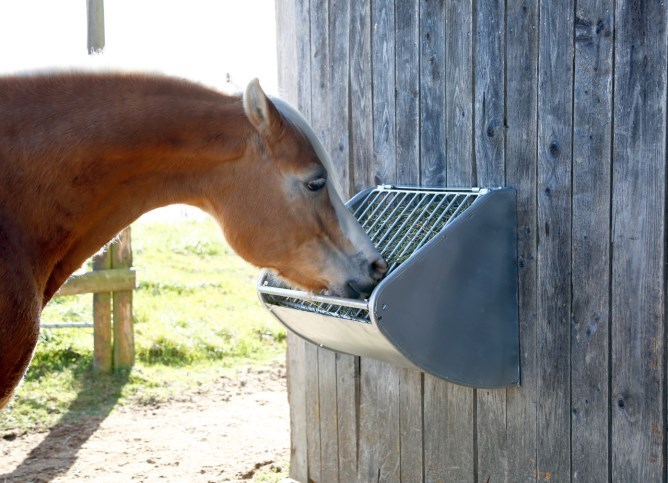 לחיצה להגדלת תמונה סוס אוכל ממתקן לחציר קש